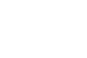 Virgin Voyages Cruise Line logo