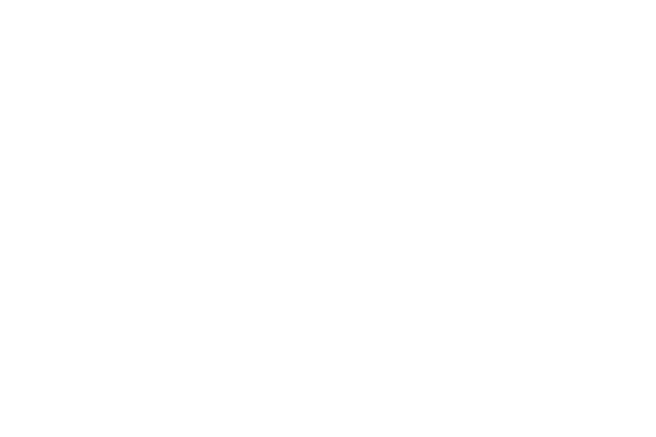 Virgin Voyages Cruise Line logo